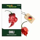 Chili Trinidad Moruga Scorpion Samen - Capsicum chinense - Chilisamen -...