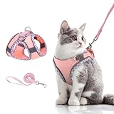 Brifit Katzengeschirr, Katzengeschirr mit Leine Ausbruchsicher,...
