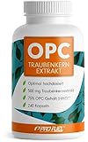 OPC Traubenkernextrakt - 240 OPC Kapseln mit 75% reinem O.P.C. je Kapsel -...