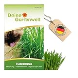 Katzengras Samen - Avena sativa und Lolium perenne - Katzengrassamen - 10 g...