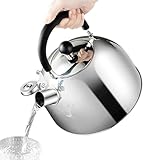 GkgWuxf Wasserkocher aus Edelstahl, Wasserkocher aus Edelstahl, Kettle für...
