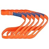 GEARMONSTER 6TLG Gurtschlaufen 450x38mm, Zurrschlaufen 1000kg Spanngurte...