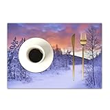 DASNK 4er Set Platzsets 30x45cmRutschfest Abwaschbar Tischmatten PVC...