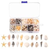 1 Box/ca. 220 StückMuscheln zum Basteln, Natürliche Muscheln Deko...