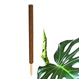 BigDean Pflanzstab Kokos 80 cm - Monstera Rankhilfe Rankstab Stab Moosstab...