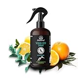 OLLEENO® Schuhdeo Spray gegen Gerüch (250 ML) – Natürliches Schuhspray...