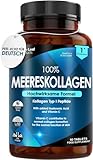 Reines Marine Collagen, 100% Meereskollagen Typ 1, 1470 mg - Hydrolysierte...