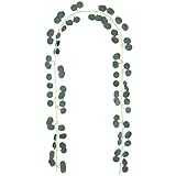 PEOVLVN 2,2m Eukalyptus Girlande Künstliche Eukalyptus Deko Hängend...