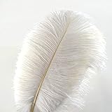 10Pcs Straußenfedern 12-14Inch (30-35cm) Für Haus Hochzeitsdekoration...