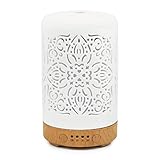 Earnest Living Aroma Diffuser für Ätherische Öle 100 ml - Weißer...