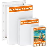 Koncci Leinwand zum Bemalen - 9 Stück (30x20 20x15 15x10cm) Keilrahmen...