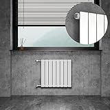 WITEN&NOCK Design Heizkörper Flach Paneelheizkörper Weiß 600 x 550 mm...
