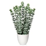 Briful Kunstpflanze Eukalyptus Künstliche Pflanze Wie Echt Zimmerpflanzen...