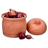 MamboCat Terra Zwiebeltopf aus Terrakotta I Ø 17,8cm I Tontopf mit Deckel...