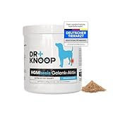 Grünlippmuschel Pulver Hund (für Junge aktive Hunde/Welpen), 500g, reicht...