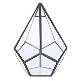 Picysa Geometrischer Pflanzgefäß aus Glas, 4,7 x 5,5 Zoll, elegante...