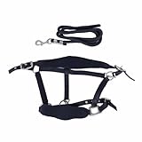Horse Halter Set, verstellbares Pferdehalfter mit 2m Leine, gepolstert,...