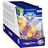 WC FRISCH Kraft Aktiv Duftspüler Früchtezauber 10er Set (10 x 100 g) –...