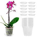 Orssmigs 10 Stück Orchideentopf Transparent Ø11,5cm x Höhe 11cm...