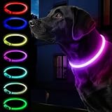 Leuchthalsband Hund bunt