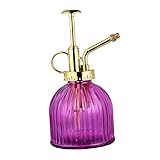 TOYANDONA 1 Stück Bewässerungskanne Retro Spray Kettle Gießkanne für...