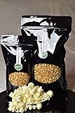 Premium Popcorn Kinopopcorn frische Beutel XL 1:46 Popvolumen (1 Kg Mais)