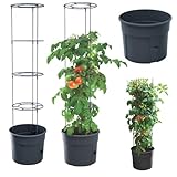DTU24 Blumentopf Tomatentopf Topf für Tomatenpflanzen 18L Tomatenzüchter...