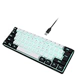 Snpurdiri 60% kabelgebundene Gaming-Tastatur, mechanisches Gefühl, kleine...