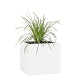 Pflanzwerk® Pflanzkübel Fiberglas Weiss Cube 30x34x34cm *Frostbeständige...