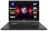 MSI Vector 17 HX, Gaming Laptop, 17,0' QHD+, Intel® Core™ i9 Prozessor...
