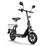 TWOFISH E Scooter mit Straßenzulassung(EEC), Elektroroller für Erwachsene...