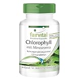 Fairvital | Chlorophyll Tabletten mit Minzaroma - 100 Kautabletten - VEGAN