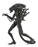 NECA Ultimate Alien Warrior Figur, Braun, Mehrfarbig (634482516836)