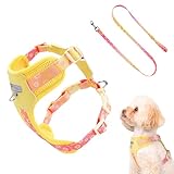 Brustgeschirr für Hunde – Brustgeschirr für Hunde – atmungsaktiv,...