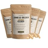 Cupplement 240 Ginkgo Biloba Kapseln 50:1 Extrakt 120 MG pro Kapsel 3+1...