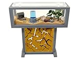 Ameisenfarm-Set T – Mini-Natursand 15x5x16 – Gratis Ameisen inklusive...