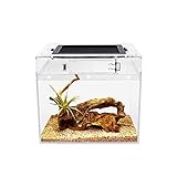Reptile Growth Mini PC Terrarium, 8' x 8'x 8'Faunarium...