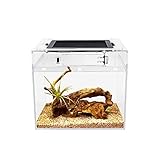 Reptile Growth Mini PC Terrarium, 8' x 8'x 7'Faunarium...