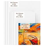 Koncci Leinwand zum Bemalen - 9 Stück(20x20, 20x30, 30x40 cm) Leinwand Set...