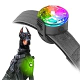 UMIONE PET LIGHT: Wasserdichtes Hundelicht, langlebig und ideal für...