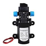 Wasserpumpe 12V Selbstansaugend 60W 5L/Min Druckpumpe Wasser mit...