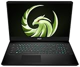 MSI Alpha 17, Gaming Laptop, 17,3' QHD, AMD Ryzen™ 7 7840HX Prozessor, 32...