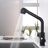 HOMELODY Spültischarmatur mit Brause Ausziehbar, Wasserhahn Küche mit 2...