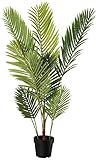Amazon Basics Künstliche Palme mit Kunststoff-Pflanzgefäß, 70 x 70 x...