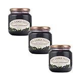 Den Gamle Fabrik schwarze Johannisbeermarmelade Dreierpack, 3x380g Gourmet...