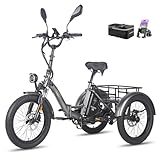 Fafrees E Bike Dreirad F20 Mate, Ebike Klapprad 20 * 3.0 Zoll,...
