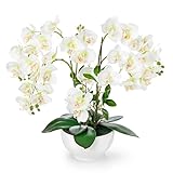 PASCH® XXL Kunstblume Orchidee groß (56cm) in Hochglanz-Keramiktopf |...