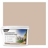 derendo Premium Silikonharz Fassadenfarbe Wetterschutz Abperleffekt wie...