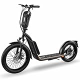 Elektro Scooter mit Straßenzulassung ABE E-Scooter Elektroroller eKFV...