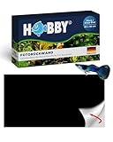 HOBBY Aquaristik Black/Deep Blue I 60 cm x 30 cm I Fotorückwand für...